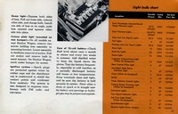 Desoto_1959_man_21.jpg